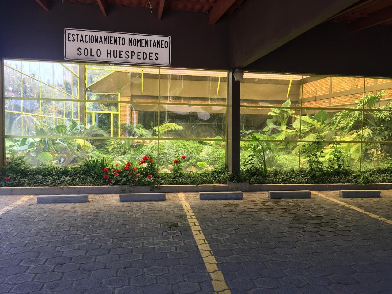 Hotel Oliver Inn Τολούκα Εξωτερικό φωτογραφία